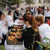 Çorlu'da Sağlıklı Yaşam Yürüyüşü Düzenlendi